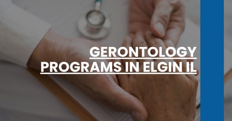 Gerontology Programs in Elgin IL Feature Image