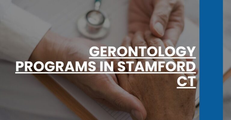 Gerontology Programs in Stamford CT Feature Image