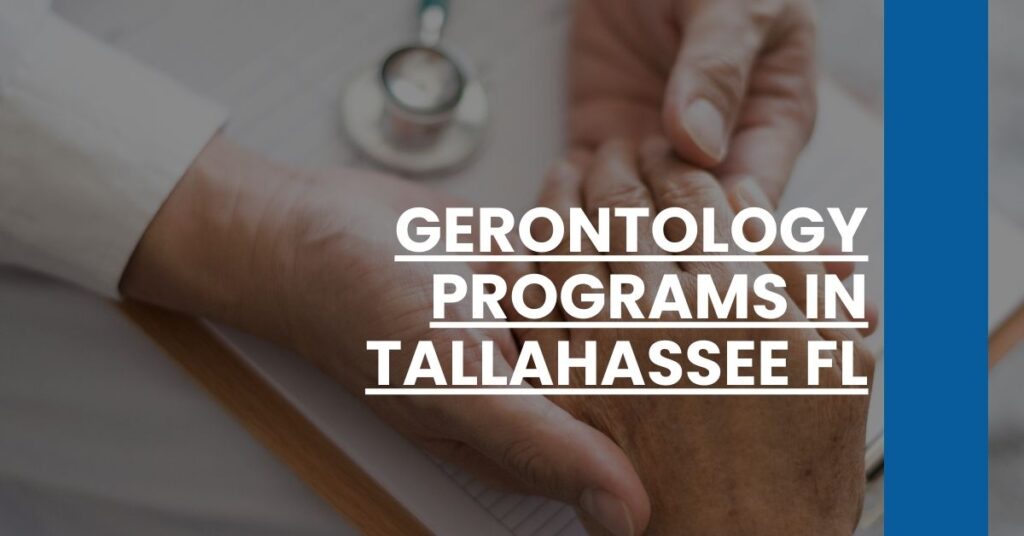 Gerontology Programs in Tallahassee FL Feature Image