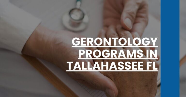 Gerontology Programs in Tallahassee FL Feature Image