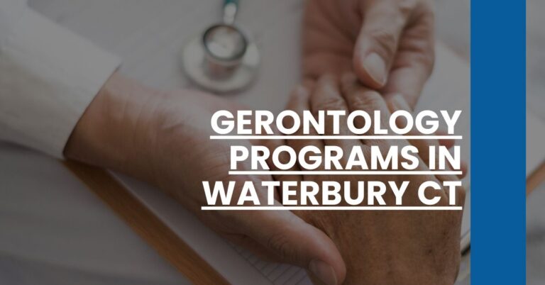 Gerontology Programs in Waterbury CT Feature Image